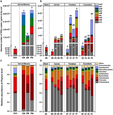 Interplay among manures, vegetable types, and tetracycline resistance genes in rhizosphere microbiome